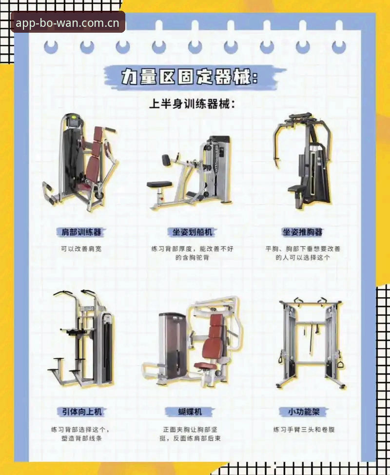 博万体育平台必备知识：官方功能详解与实用操作指南